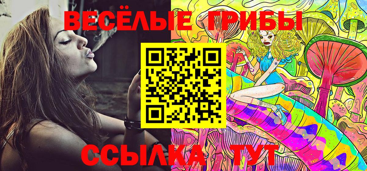 Псилоцибиновые грибы Cubensis  Вход с VPN  Новоалтайск 