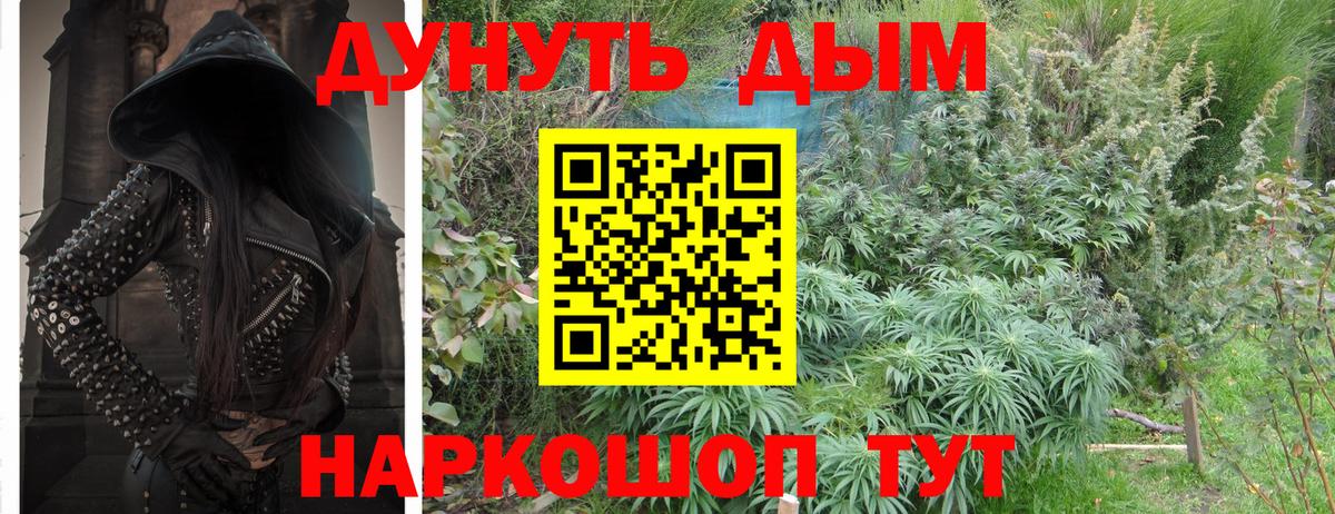 Конопля планчик  Вход с VPN  Шишки марихуана гибрид  Новоалтайск 